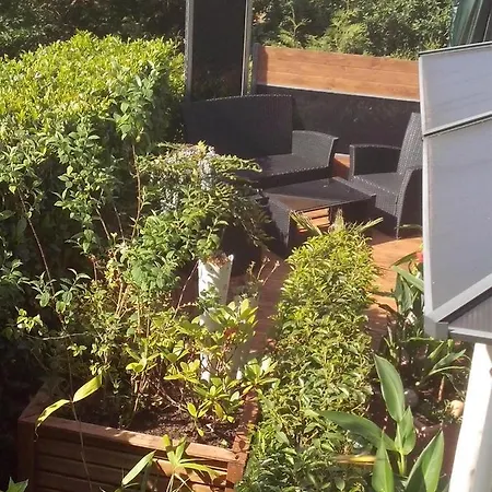 Weinberg-oase Ockfen