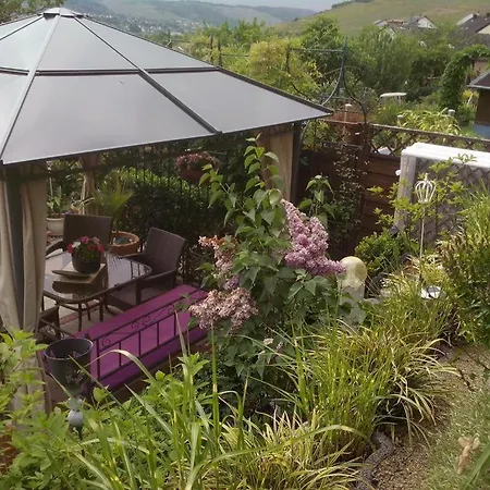 Weinberg-oase アパート