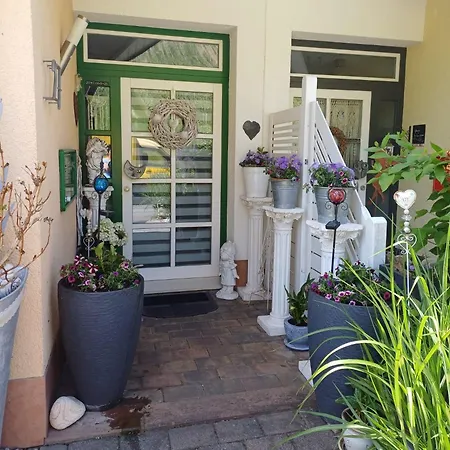 Weinberg-oase Ockfen