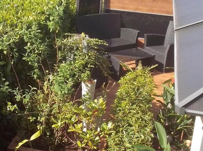 Weinberg-oase Ockfen