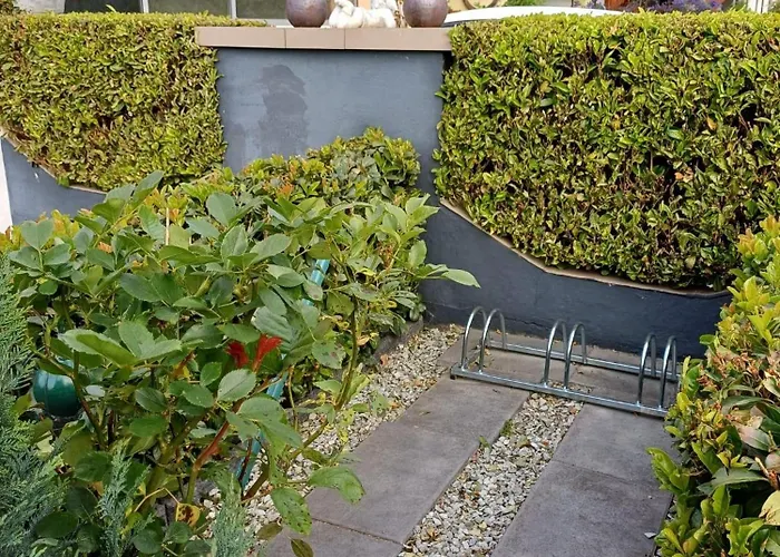 Weinberg-oase * Ockfen