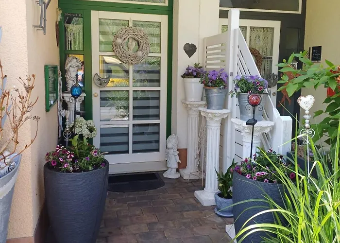 Weinberg-oase Ockfen